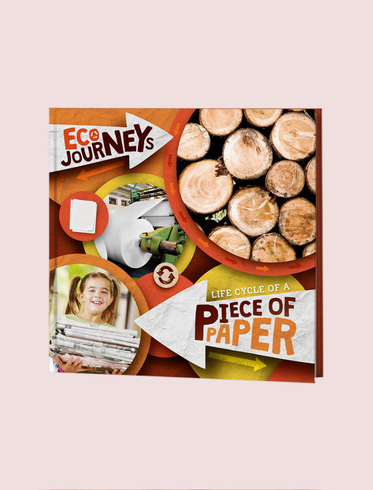 Life Cycle of A Piece of Paper