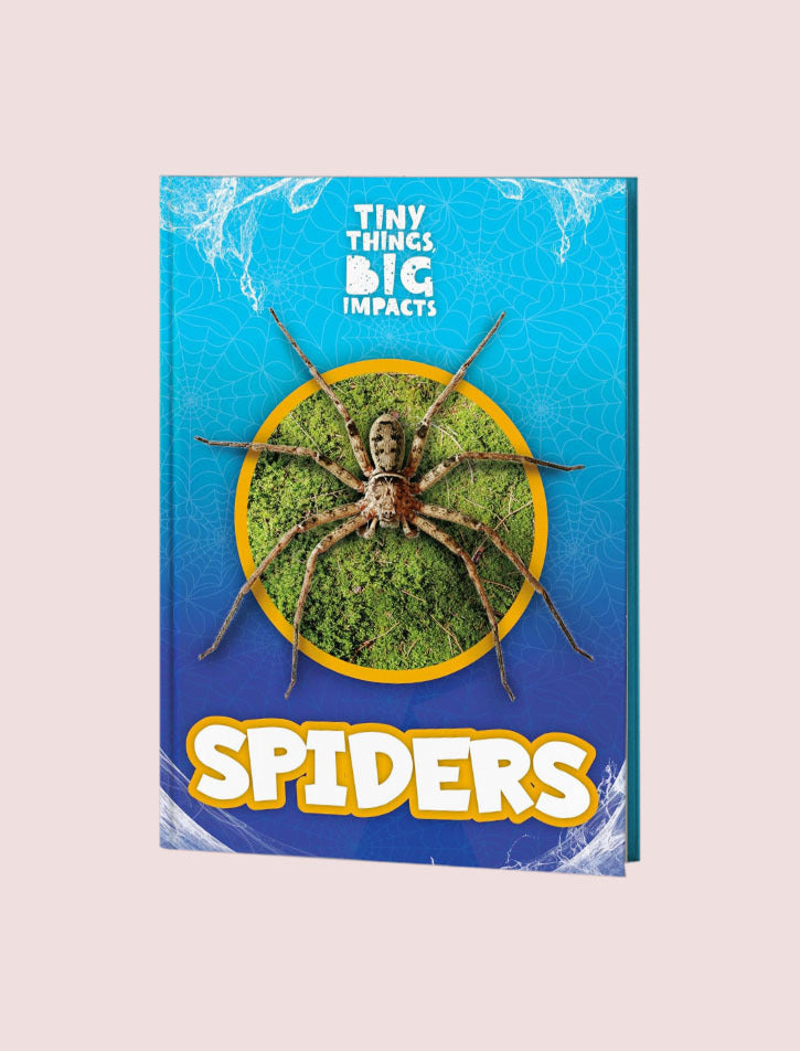 Tiny Things Big Impacts: Spiders