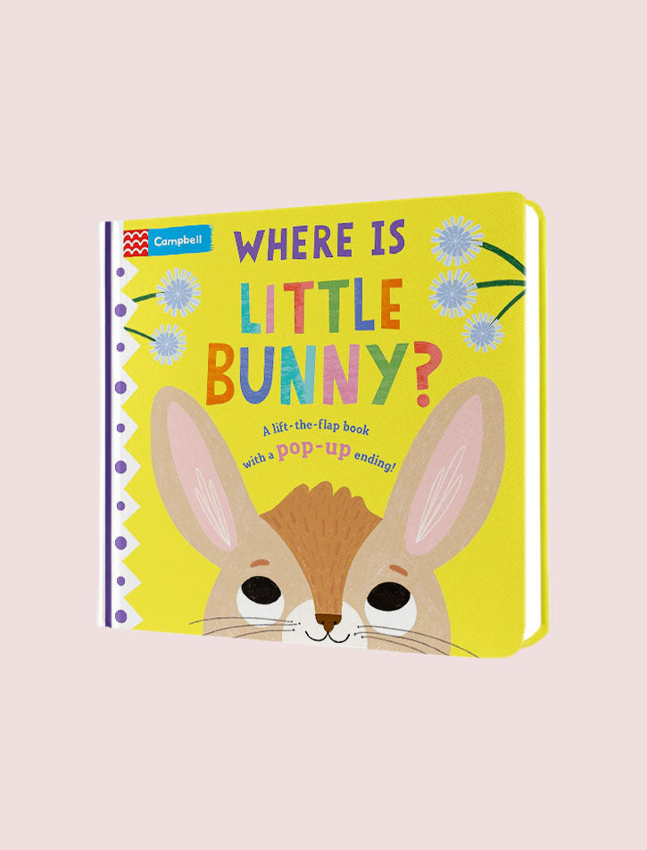 Where Is Little Bunny?