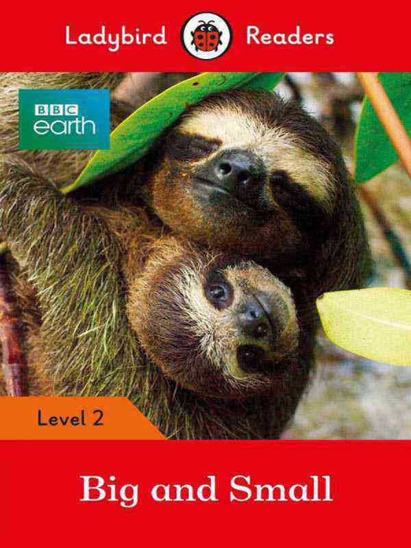 Ladybird Readers: Level-2 Bbc Earth: Big and Small