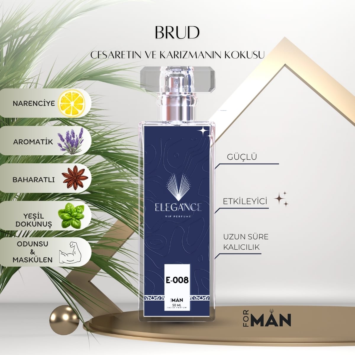 Brud Edp 50 ml – Klasik ve Ferah Erkek Parfümü (E-008)