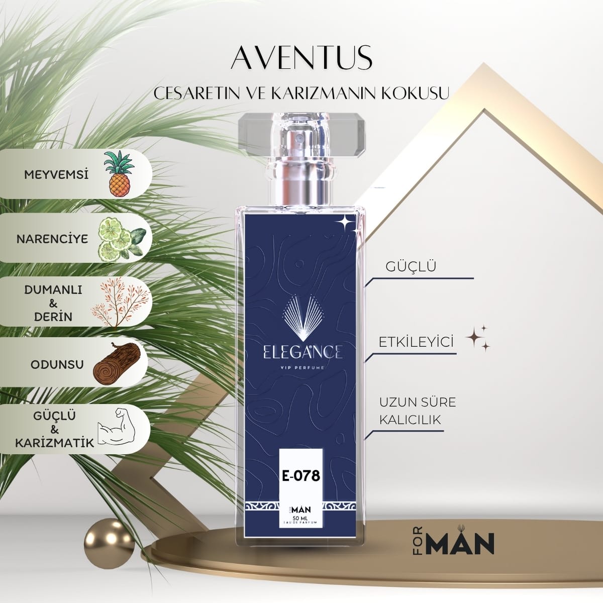 Aventus Edp 50 ml – Meyvemsi ve Odunsu Erkek Parfümü (E-078)