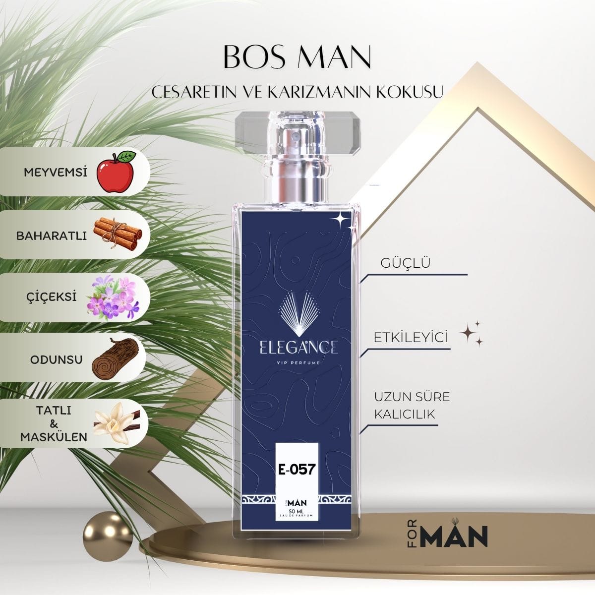 Boss Edp 50 ml – Ferah ve Odunsu Erkek Parfümü (E-057)