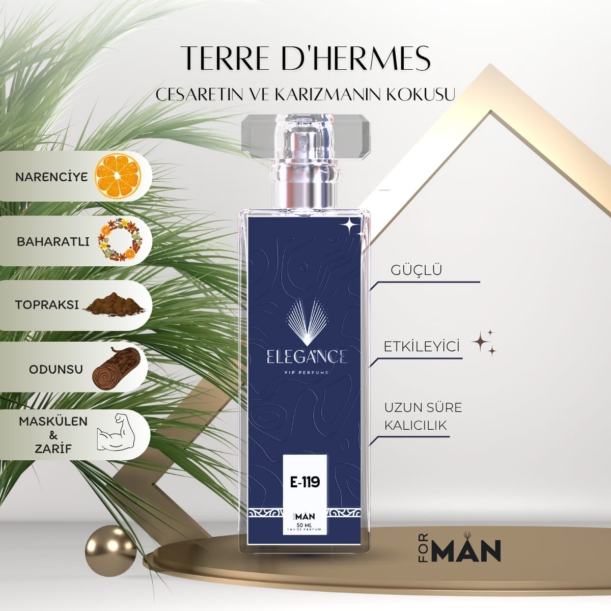 Terre d’Hermes Edp 50 ml – Odunsu ve Narenciye Erkek Parfümü (E-119)