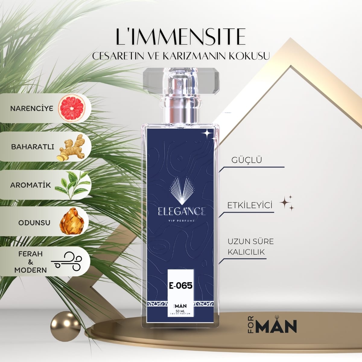 L’Immensité Edp 50 ml – Ferah ve Baharatlı Erkek Parfümü (E-065)