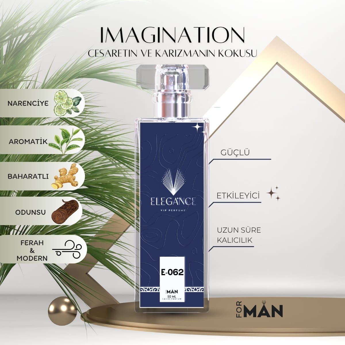 Imagination Edp 50 ml – Fresh ve Narenciye Erkek Parfümü (E-062)