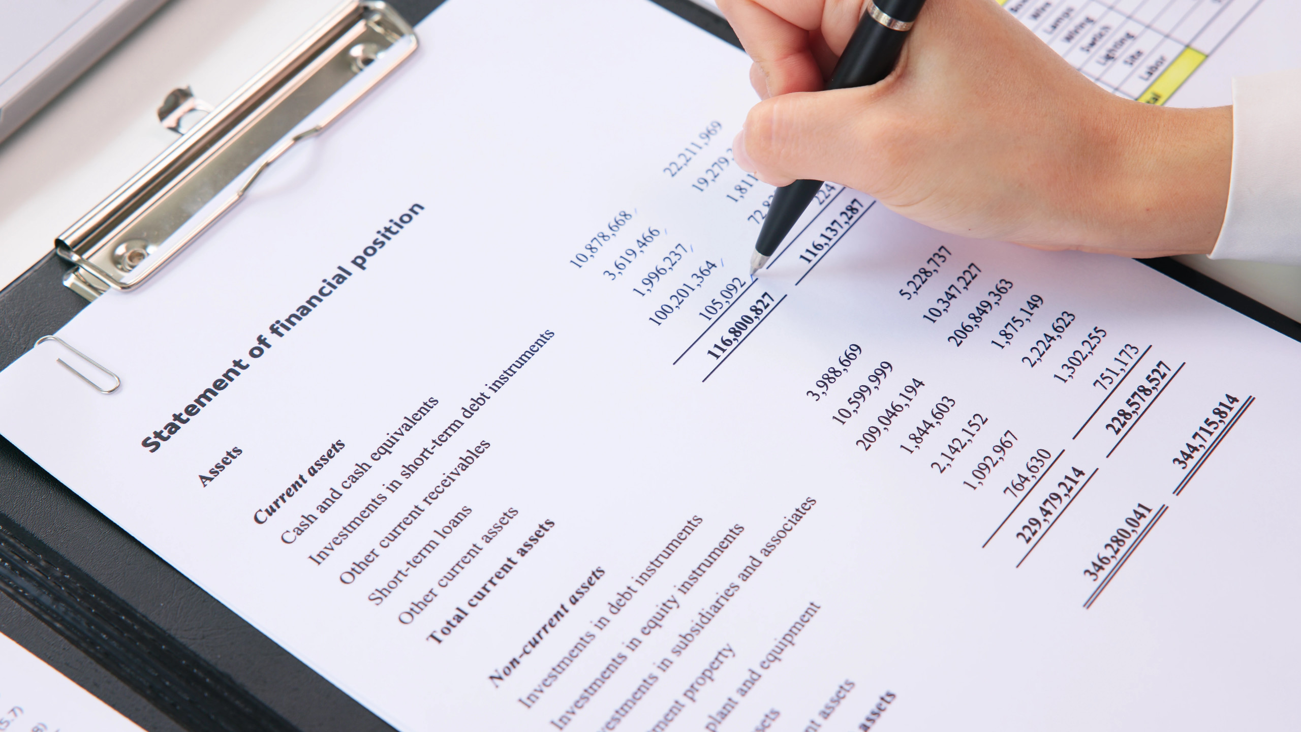 Consultant designing an internal control framework with management