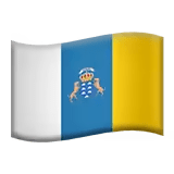 🇮🇨