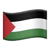 🇵🇸