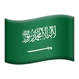 🇸🇦