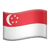 🇸🇬