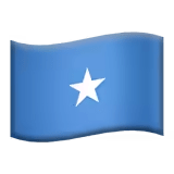 🇸🇴