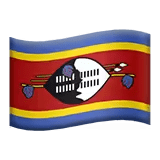 🇸🇿