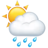 🌦️