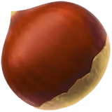 🌰