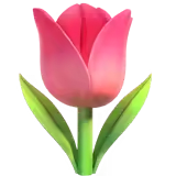🌷