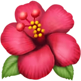 🌺