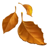 🍂