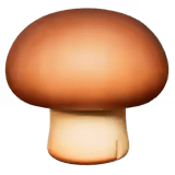 🍄🟫