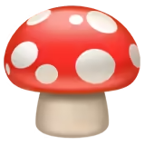 ๐