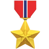 🎖️
