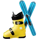 🎿