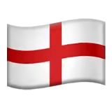 🏴