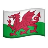 🏴