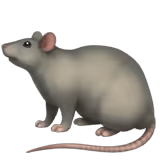 🐀