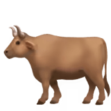 🐂