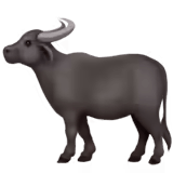 🐃