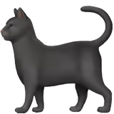 🐈⬛