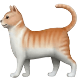 🐈