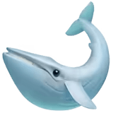 🐋