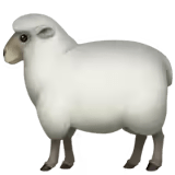 🐑