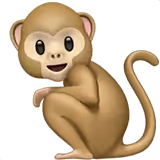 🐒