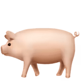 🐖