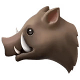 ๐