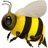 ๐