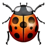 🐞