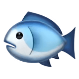 🐟