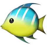 🐠