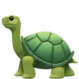 🐢
