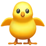 🐥