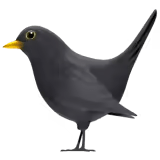 🐦⬛