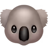 π¨