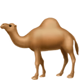 🐪