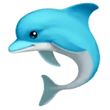 🐬