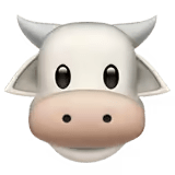 ๐ฎ