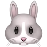 ๐ฐ